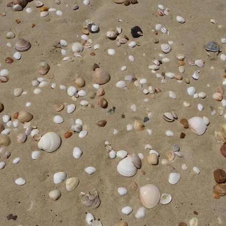 Lou Galip * Lège-Cap-Ferret