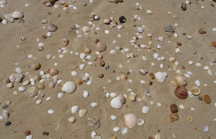 Lou Galip * Леж-Кап-Ферре