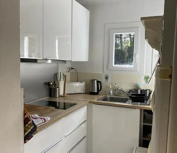 Lou Galip Lège-Cap-Ferret